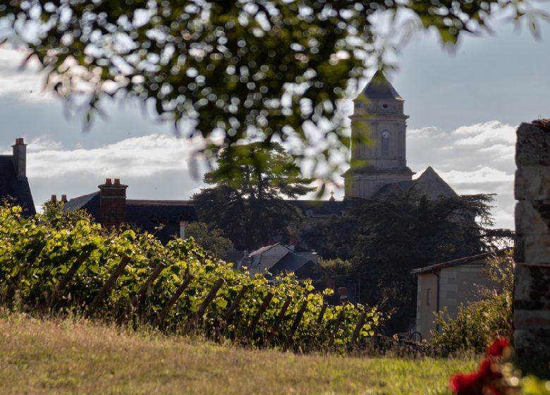 Clos de vigne de La Pierre à Fourneau