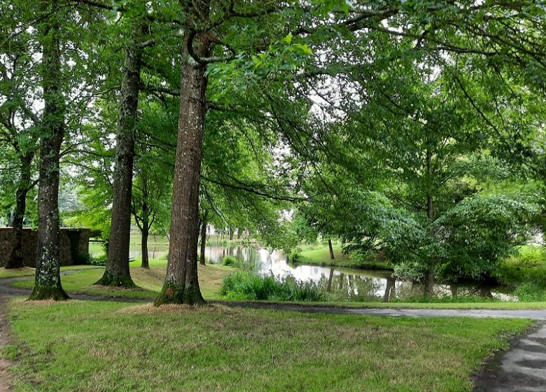 Aire de pique nique de l’étang de St André