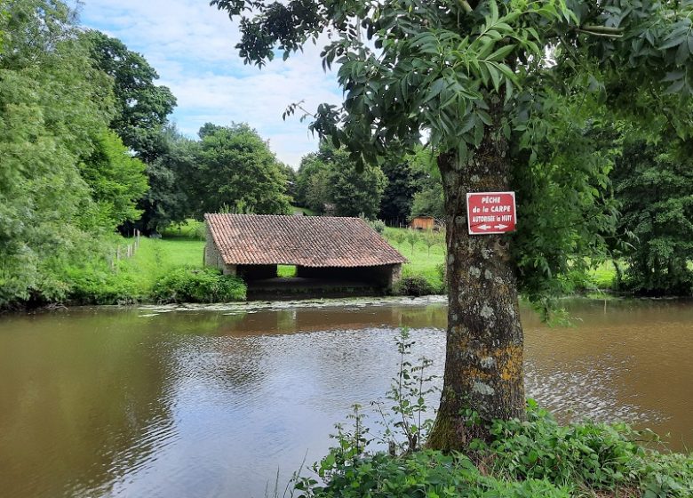 Pêche à la Pré de Saint Maurice