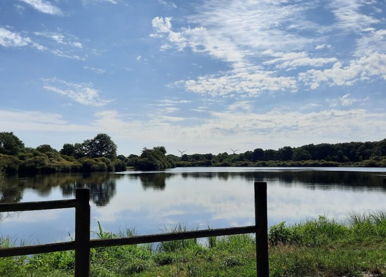 Aire de pique-nique de l’Etang du Pavillon