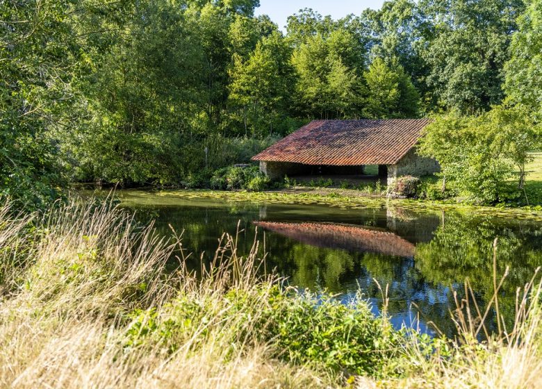 Pêche à la Pré de Saint Maurice