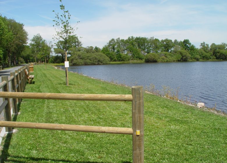 Aire de pique-nique de l’Etang du Pavillon