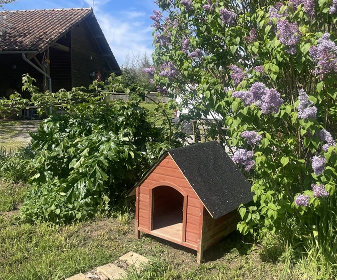 Ferme pédagogique de la Turmelière