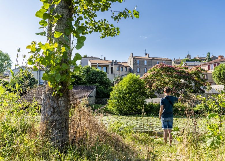 Montfaucon Montigné