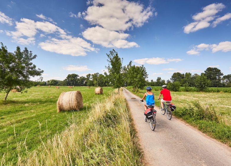 Escapade à deux en bord de Loire avec nuitée à Montjean sur Loire