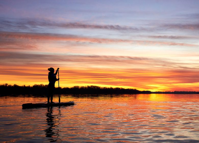 Sorties guidées en Paddle – L.A. Kayak