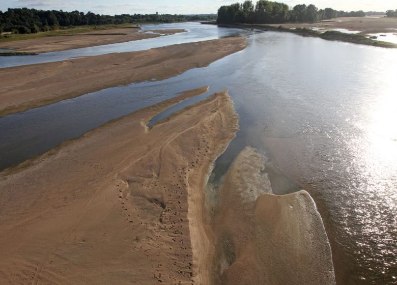 L’ÎLE BATAILLEUSE