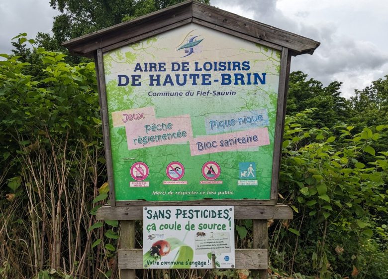 Aire de pique-nique Haute Brin au Fief-Sauvin