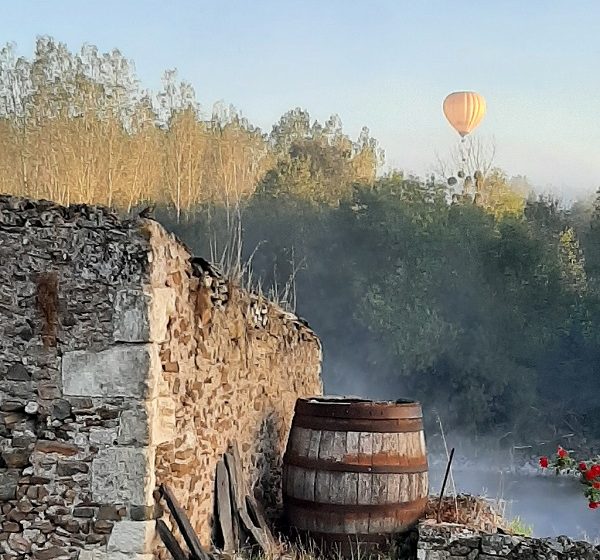 Clos de vigne de La Pierre à Fourneau