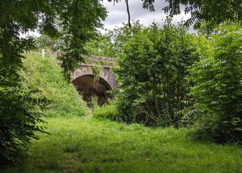 Aire de pique-nique Haute Brin au Fief-Sauvin