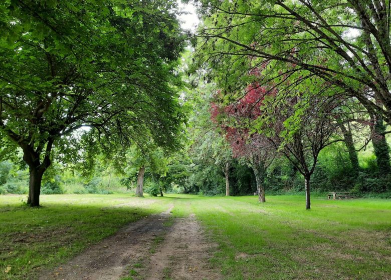 Aire de pique-nique Haute Brin au Fief-Sauvin