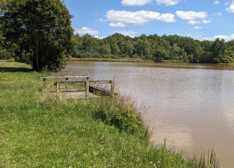 Aire de pique-nique Etang des Bruyères au Fuilet