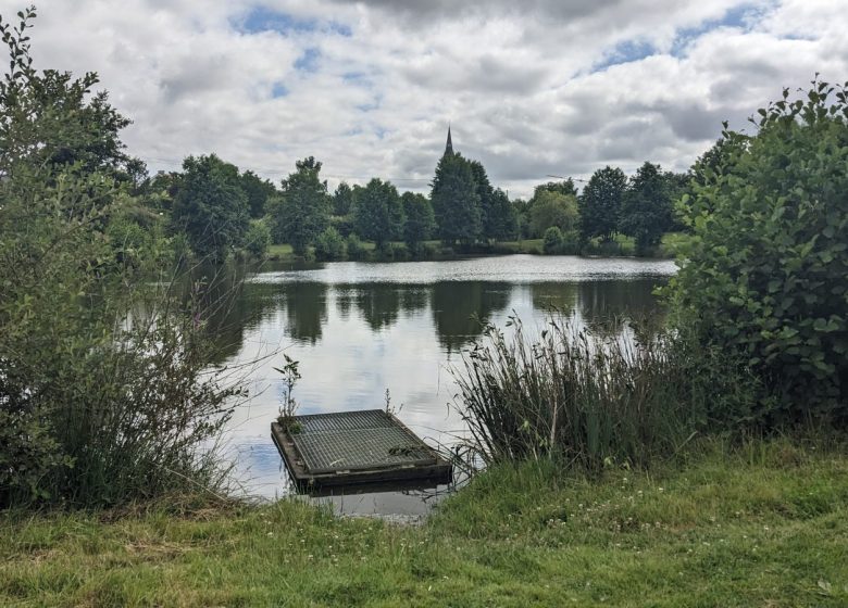 Aire de pique-nique Etang de Saint-Quentin-en-Mauges