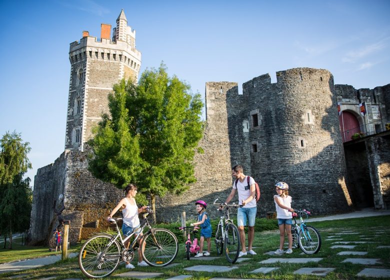 LA LOIRE À VÉLO (CHAMPTOCEAUX – MAUVES SUR LOIRE)