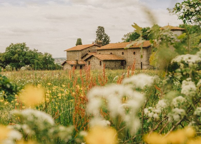 LA LOIRE À VÉLO (CHAMPTOCEAUX – MAUVES SUR LOIRE)