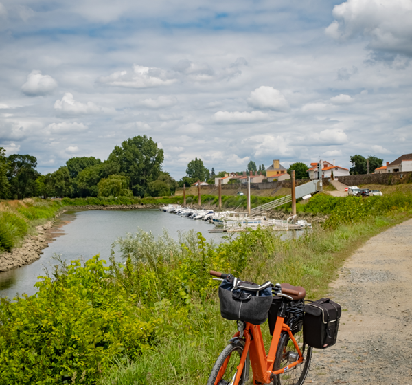 LA LOIRE À VÉLO (CHAMPTOCEAUX – MAUVES SUR LOIRE)