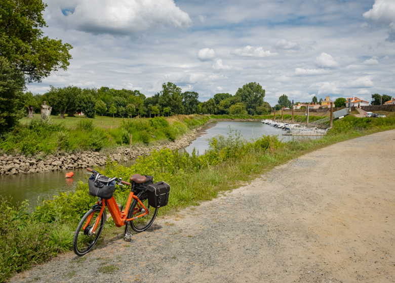 LA LOIRE À VÉLO (CHAMPTOCEAUX – MAUVES SUR LOIRE)