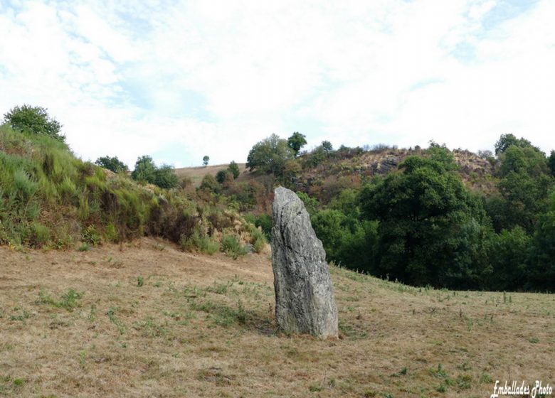 Randonnée photo « Les coteaux et la vallée de l’Evre » au Fief-Sauvin