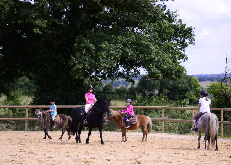 LE PÔLE EQUESTRE MORTAGNAIS