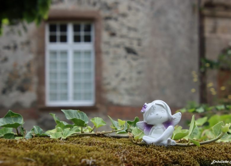 Balade photo « Spécial scénettes » dans le parc de Beaupreau