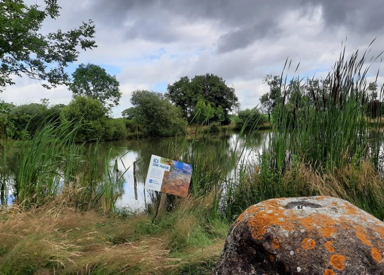 Aire de pique nique de l’Etang des Noues