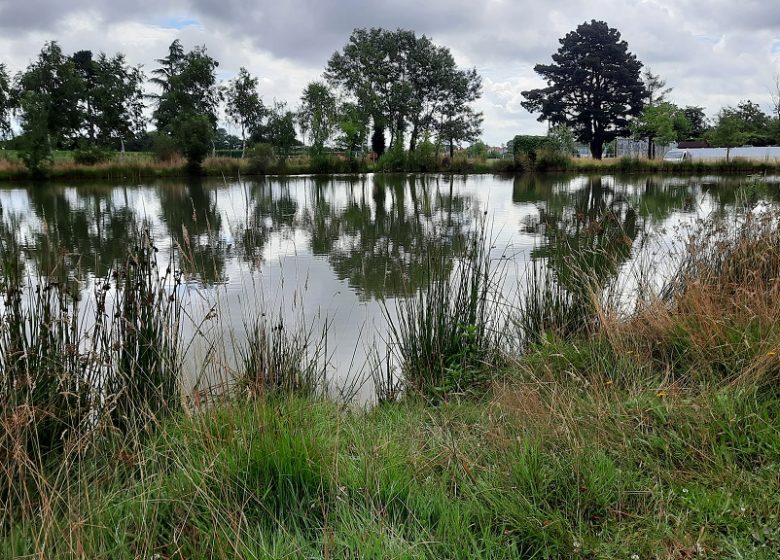 Aire de pique nique de l’Etang des Noues