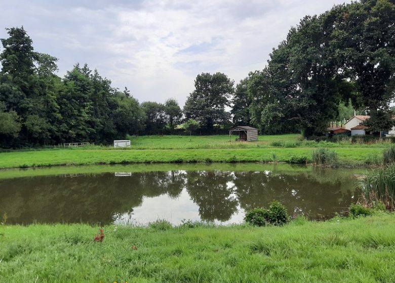 Aire de pique-nique de Neuvy-en-Mauges