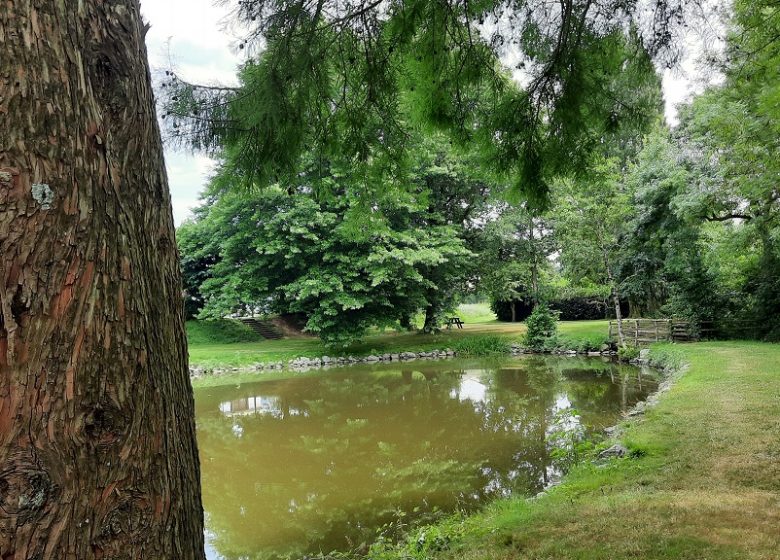 Aire de pique-nique de Neuvy-en-Mauges