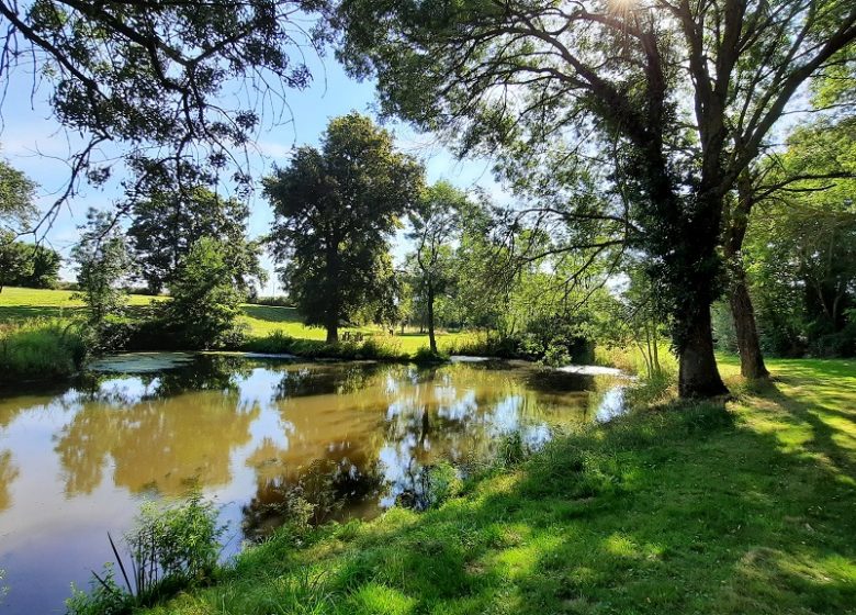 Aire de pique nique du Poizeaux à Chanzeaux