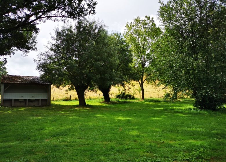 Aire de pique-nique de Coulaines à La Chapelle-Saint-Florent