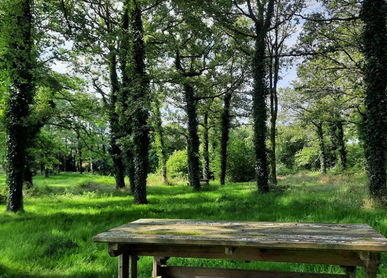 Aire de pique-nique de l’Etang du Pavillon