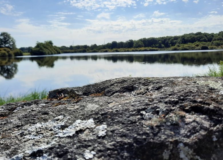 Aire de pique-nique de l’Etang du Pavillon