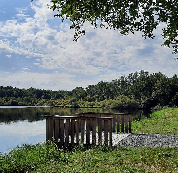 Aire de pique-nique de l’Etang du Pavillon