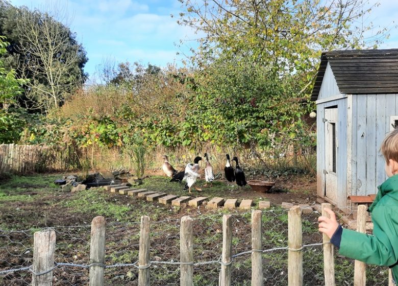 Ferme pédagogique de la Turmelière