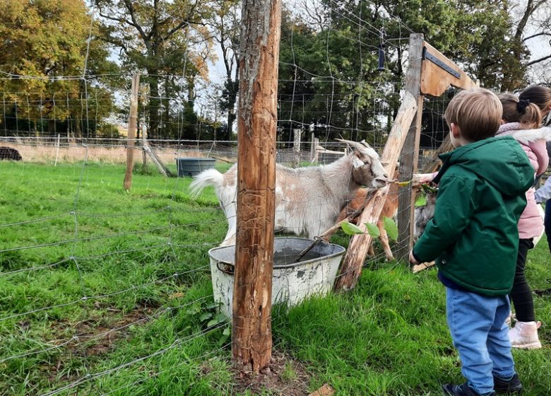 Ferme pédagogique de la Turmelière