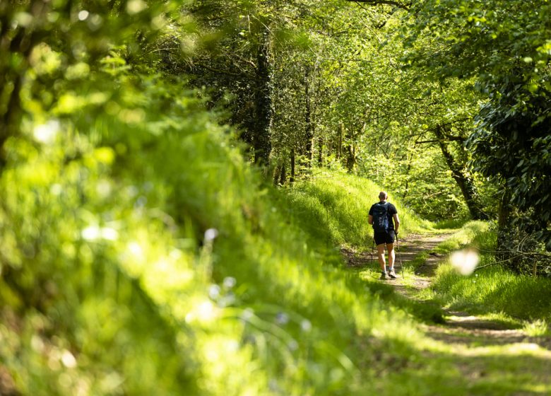 Sentier d’interprétation le Rocher du Manis