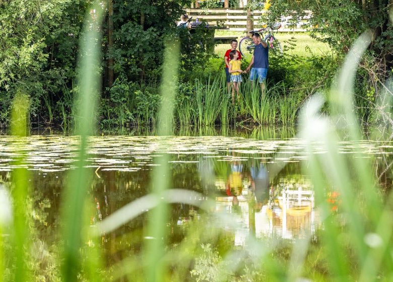 LA LOIRE À VÉLO (ST-FLORENT-LE-VIEIL – CHAMPTOCEAUX)