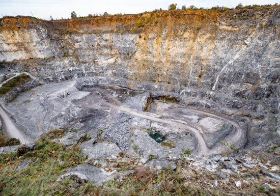 LE CALCAIRE ET LE VÉGÉTAL