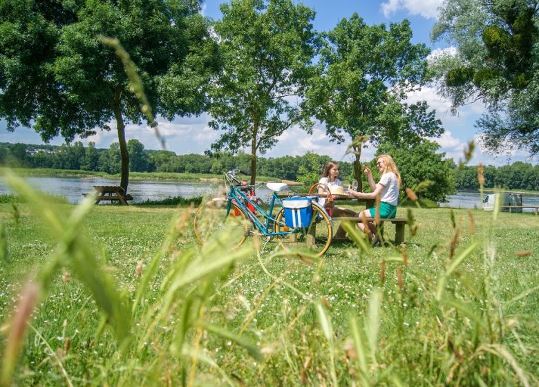 LA LOIRE À VÉLO (CHAMPTOCEAUX – MAUVES SUR LOIRE)