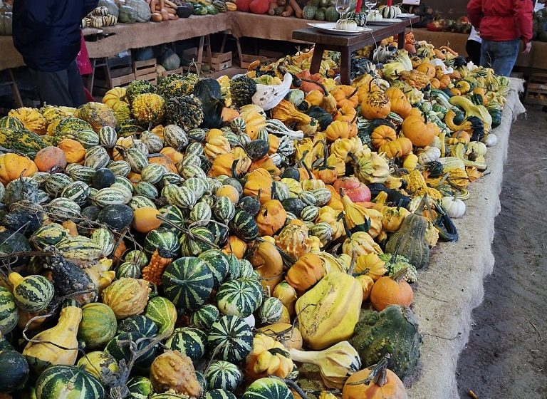 Marché aux Cucurbitacées : 25ème édition