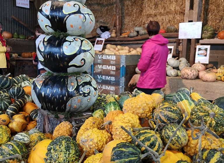 Marché aux Cucurbitacées : 25ème édition