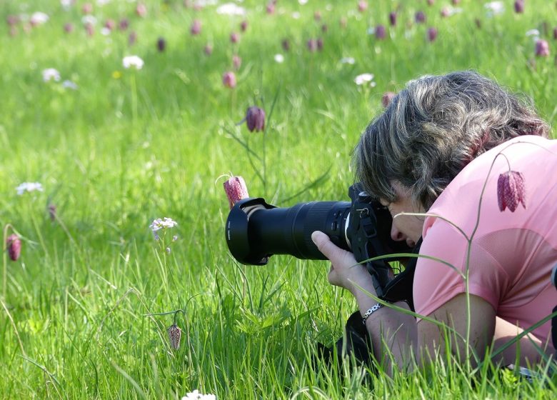 EMBALLADES PHOTO, BALADES PHOTOGRAPHIQUES