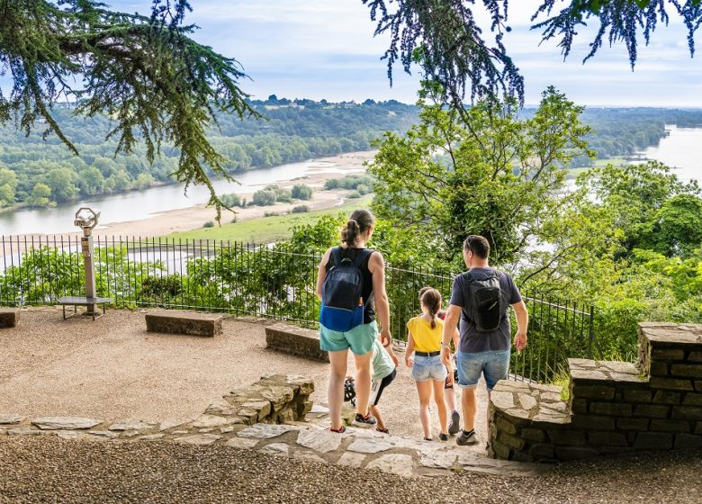 LA LOIRE À VÉLO (CHAMPTOCEAUX – MAUVES SUR LOIRE)