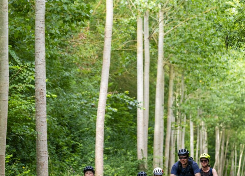 LA LOIRE À VÉLO (ST-FLORENT-LE-VIEIL – CHAMPTOCEAUX)