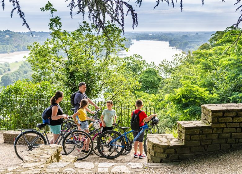 LA LOIRE À VÉLO (CHAMPTOCEAUX – MAUVES SUR LOIRE)