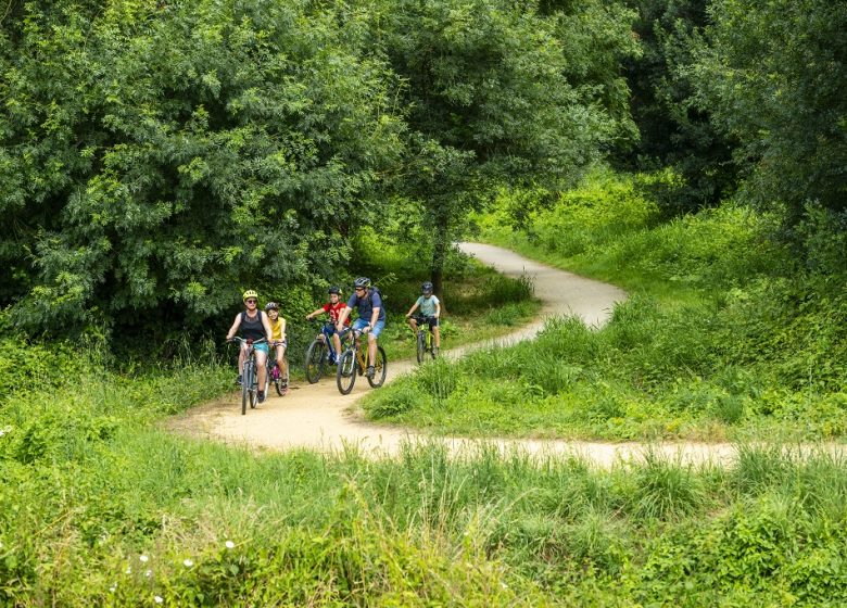 LA LOIRE À VÉLO (ST-FLORENT-LE-VIEIL – CHAMPTOCEAUX)