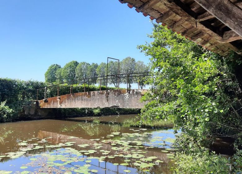 Aire de pique-nique du Parc du Château