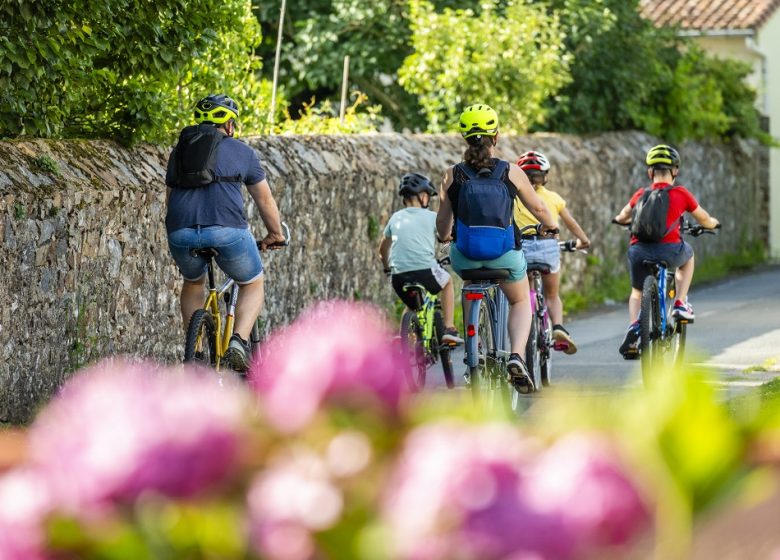 LA LOIRE À VÉLO (ST-FLORENT-LE-VIEIL – CHAMPTOCEAUX)