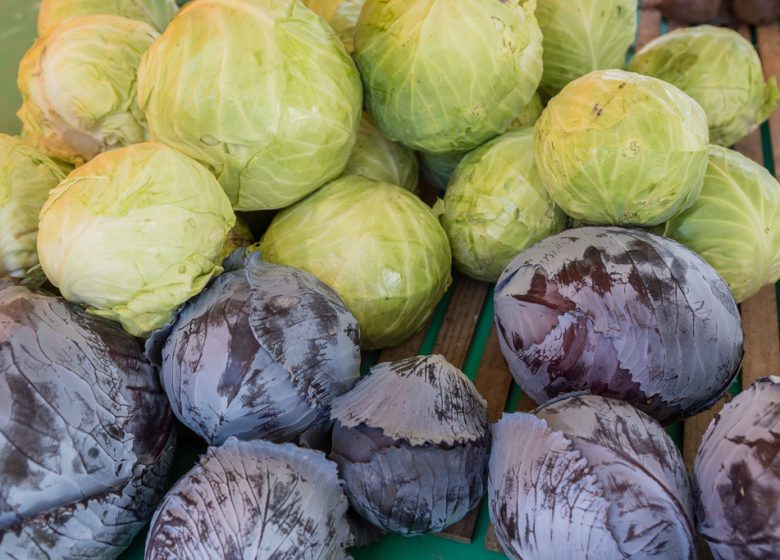 Marché hebdomadaire à La Renaudière