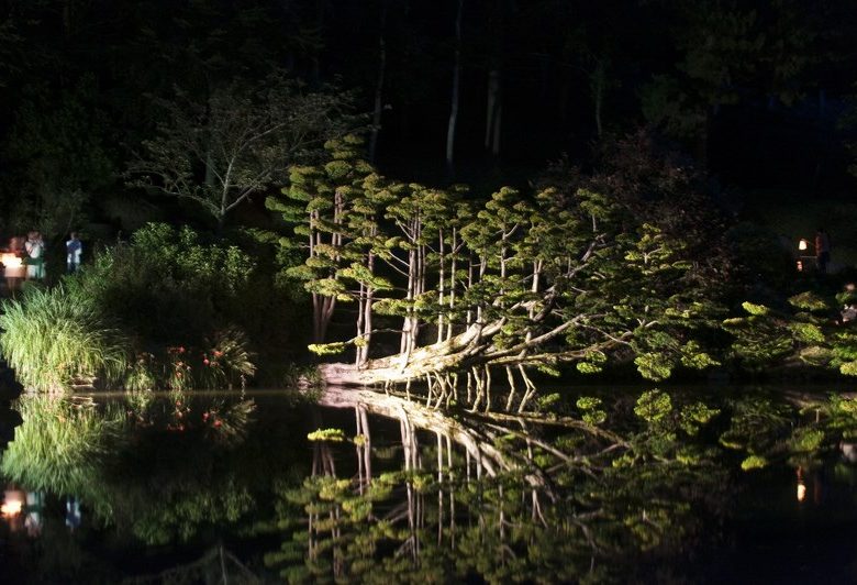 LES PROMENADES NOCTURNES